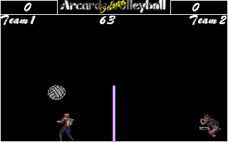Arcade Volleyball Deluxe screenshot