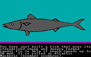Build-A-Fish screenshot